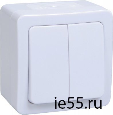ВС20-2-0-ГПБ выкл 2кл о/у IP54 (цвет клавиши:белый) ГЕРМЕС PLUS