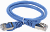ITK Коммутационный шнур (патч-корд), кат.5Е FTP, 1м, синий