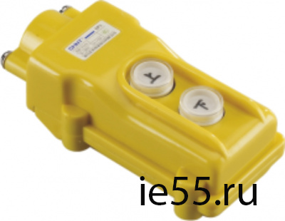 Пульт кнопочный NP3-1А , 2 кнопки + "Включено"+"Выключено" IP65 (CHINT)